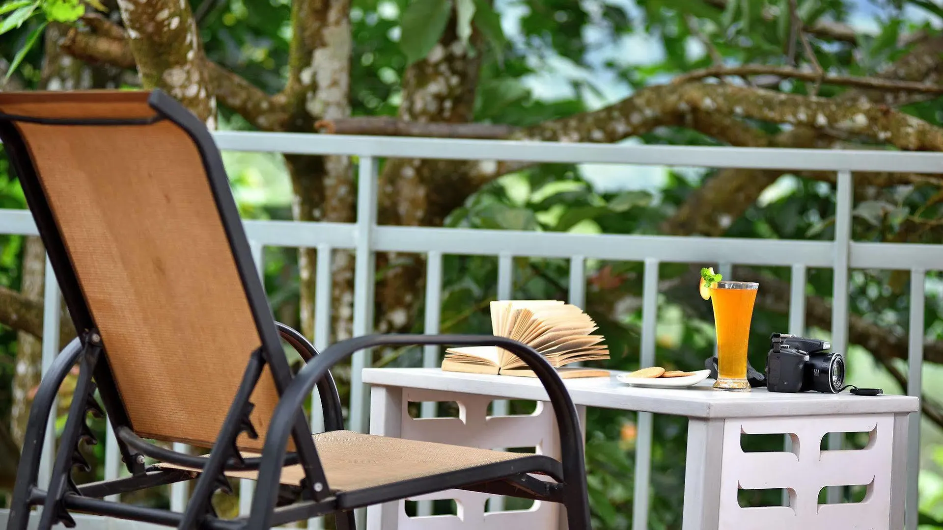 Hotel Mistletoe Munnar
