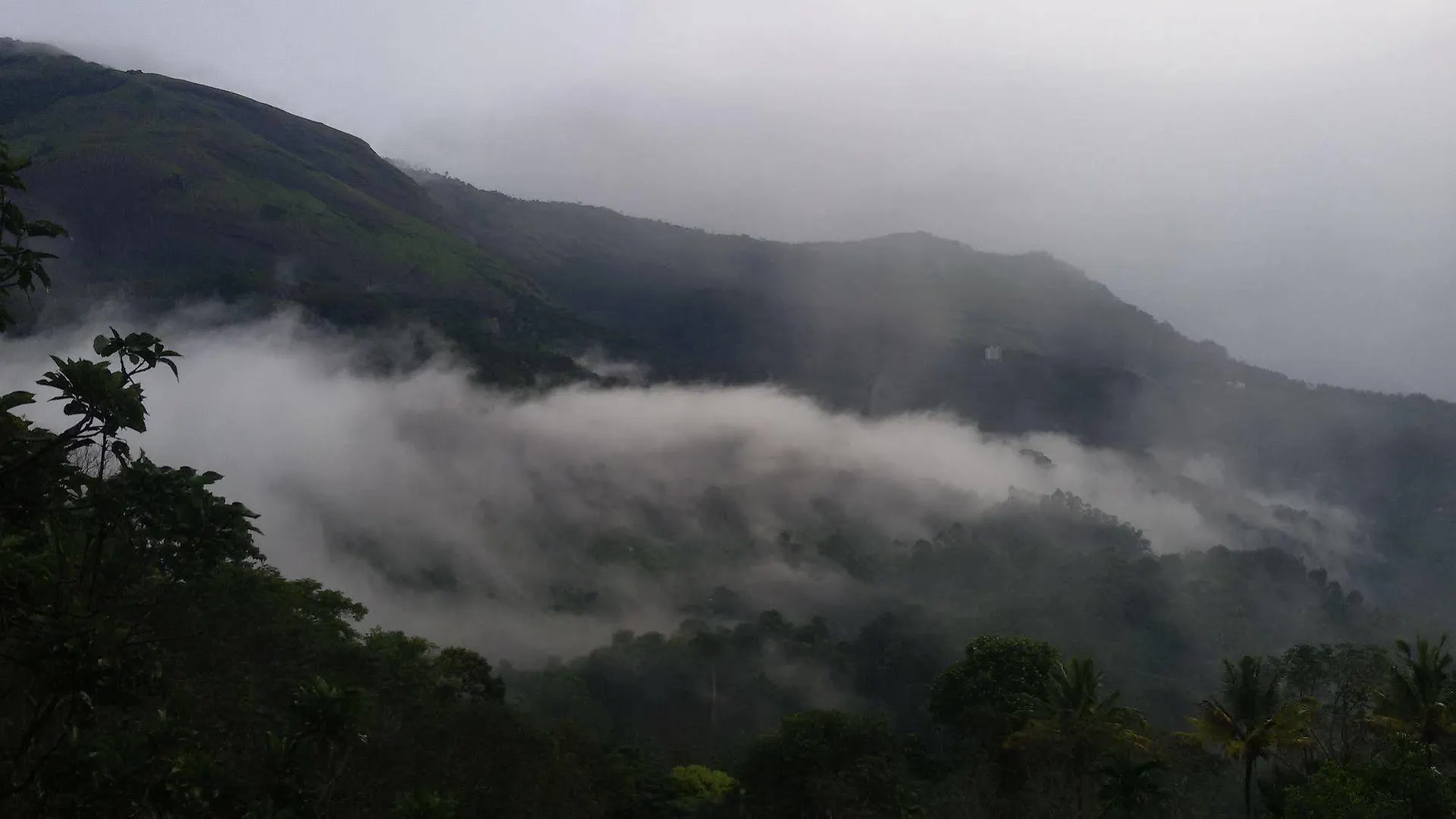 Hotel Mistletoe Munnar Indie