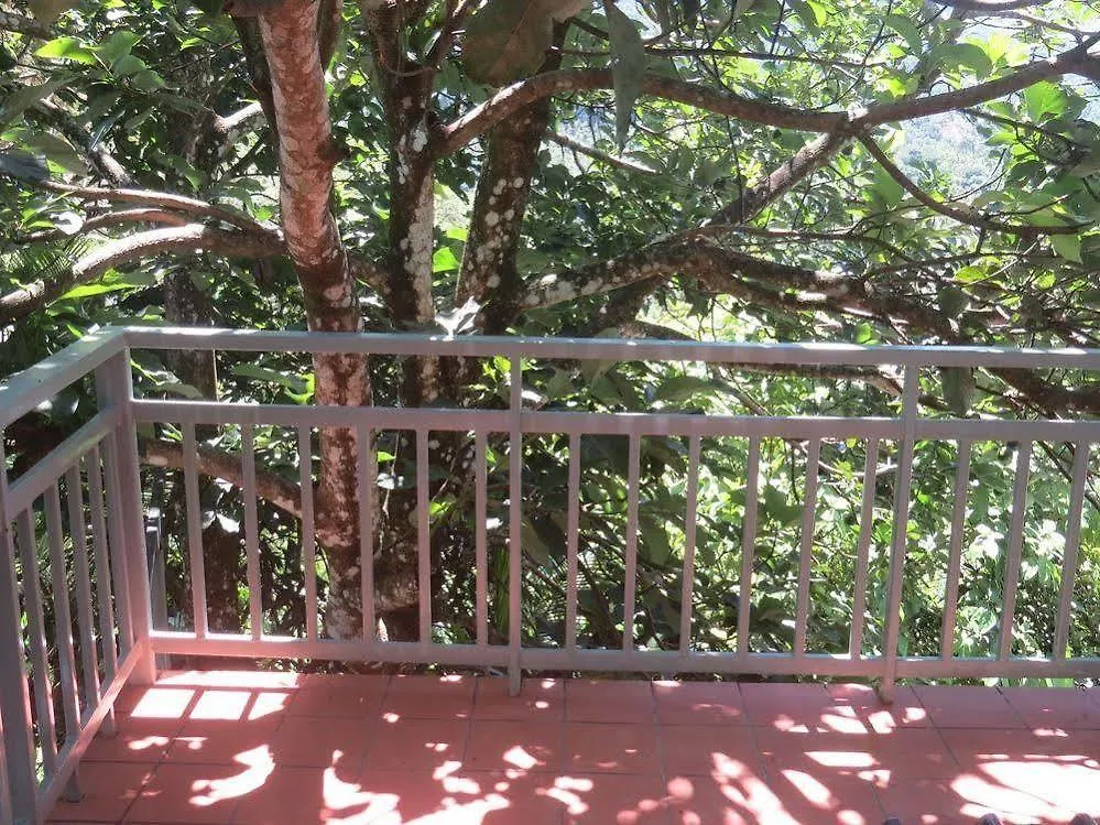 Mistletoe Munnar Hotel